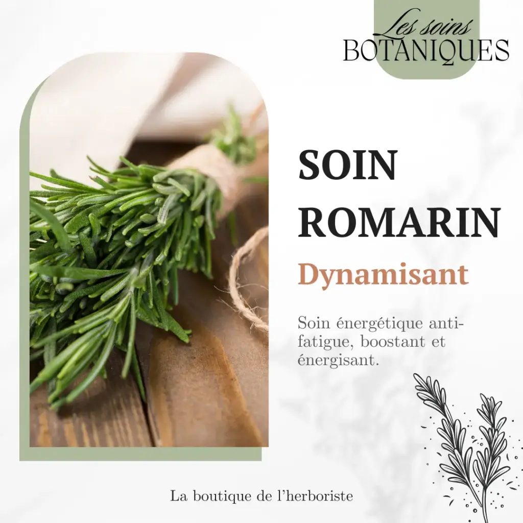 Soin énergétique Romarin