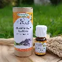 Huile essentielle de lavande vraie BIO (Lavandula angustifolia, fl.)