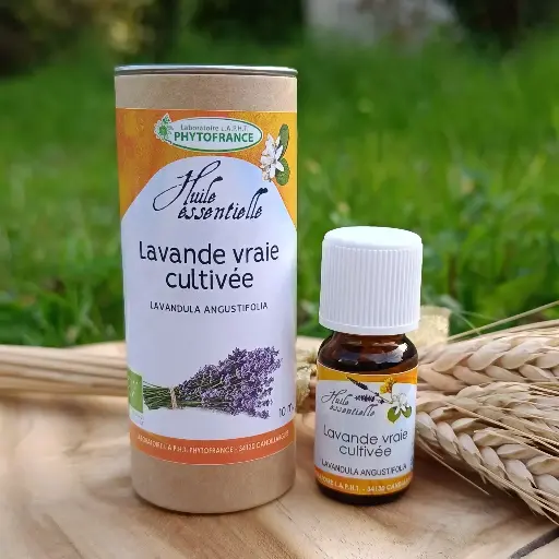 Huile essentielle de lavande vraie BIO (Lavandula angustifolia, fl.)