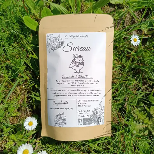 Tisane fleurs de sureau (Sambuscus nigra)